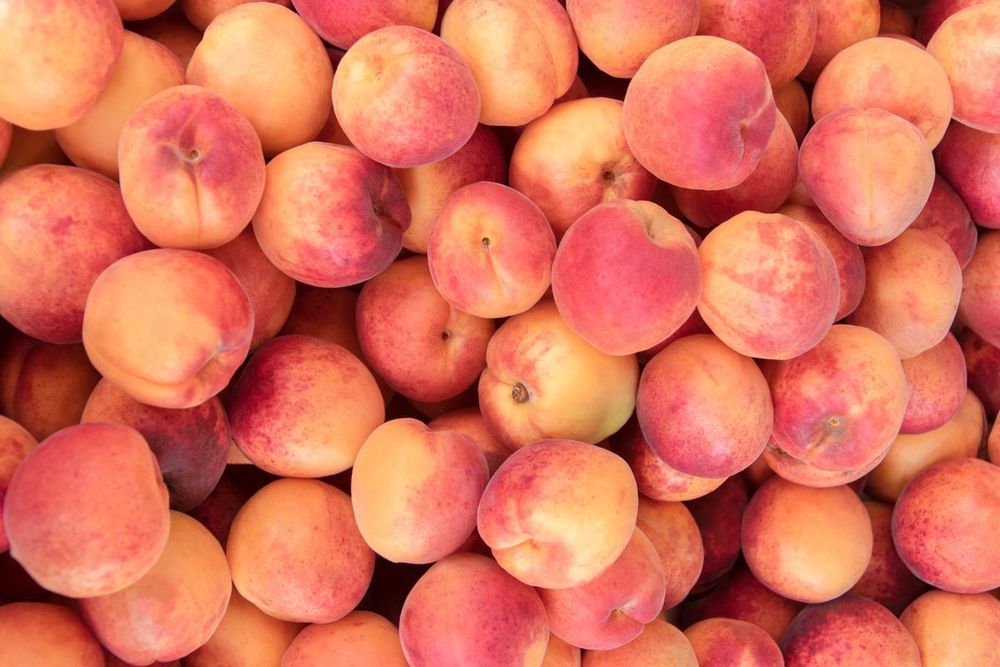peacheswiththepeach OnlyFans profile picture
