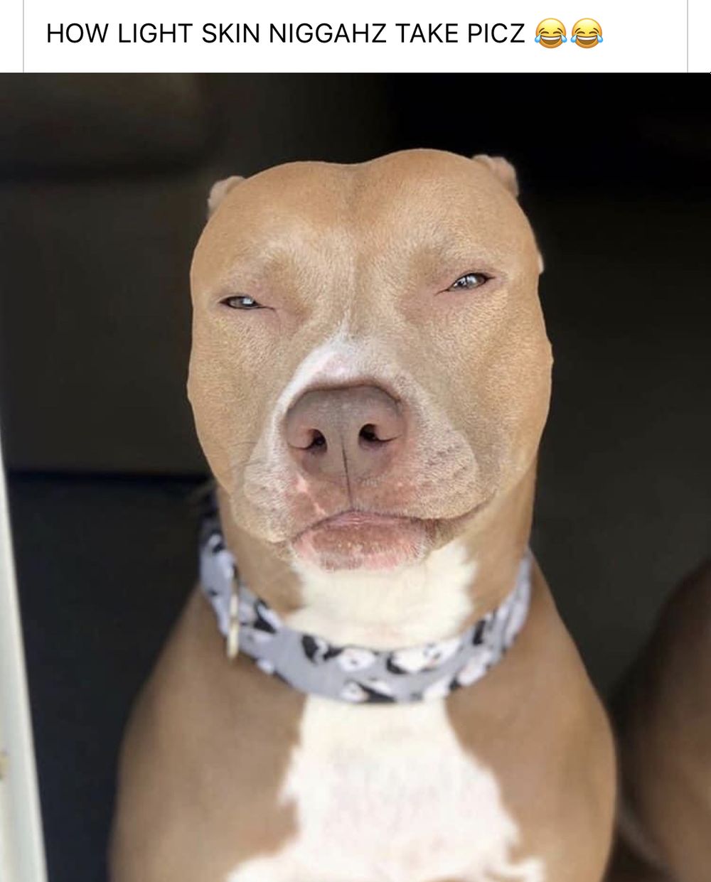 brandon04 OnlyFans profile picture