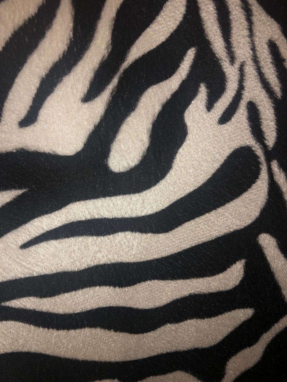 u125049231 OnlyFans profile picture