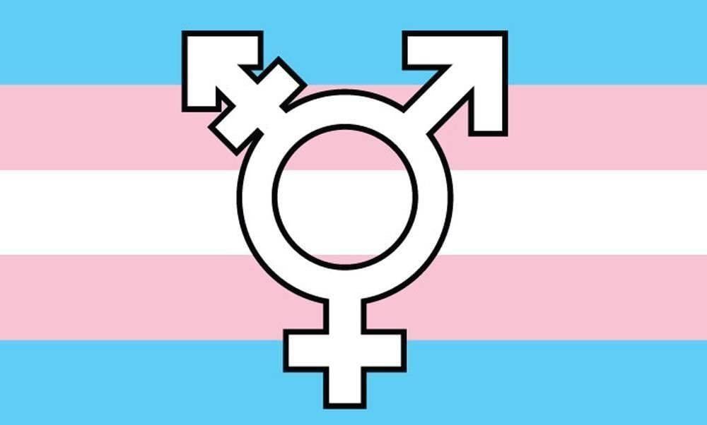 rintranstastic OnlyFans profile picture