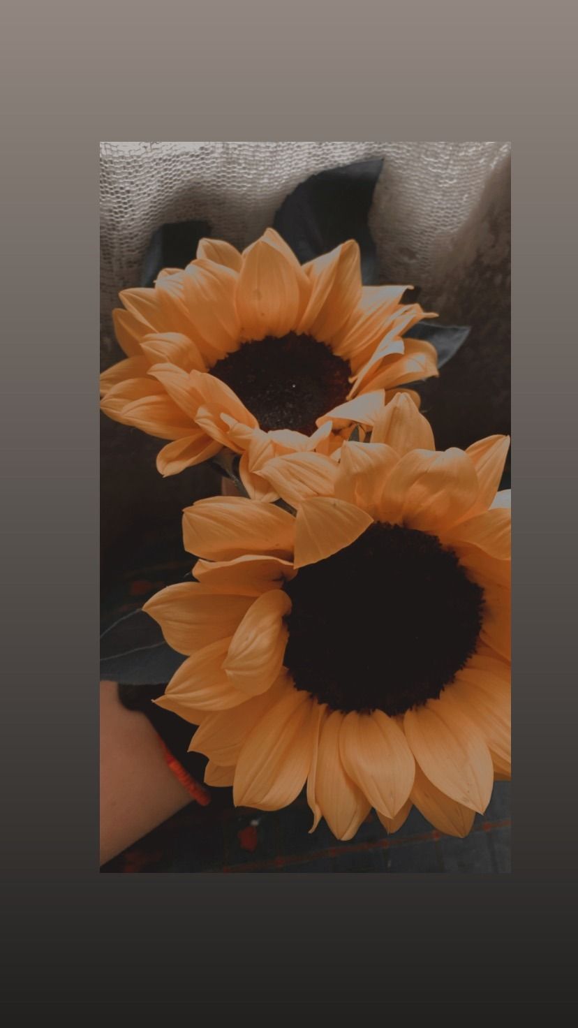 psyerf OnlyFans profile picture