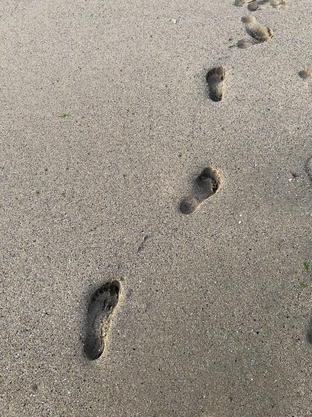 victoriaasfeet OnlyFans profile picture