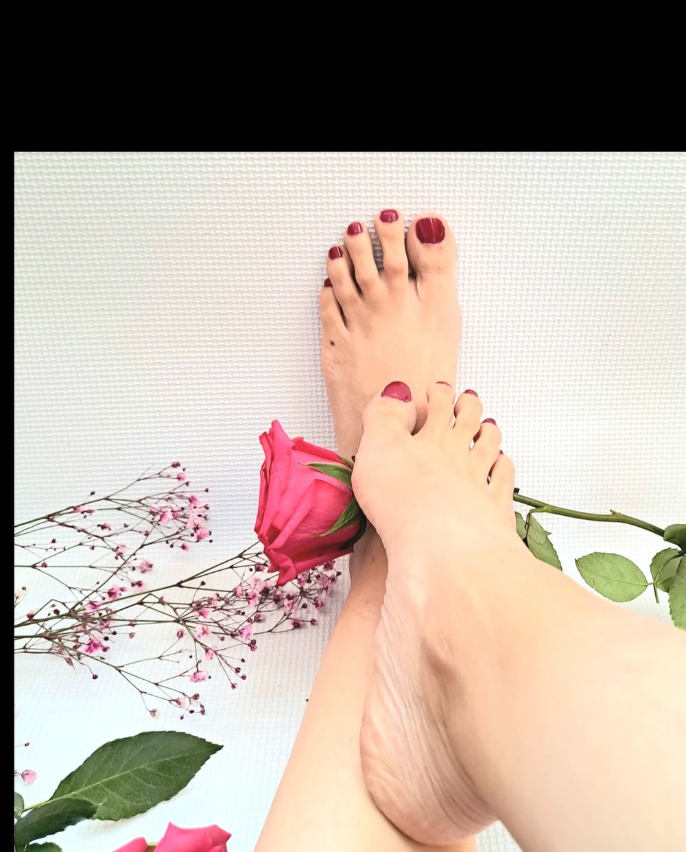 sofiabellalugo OnlyFans profile picture