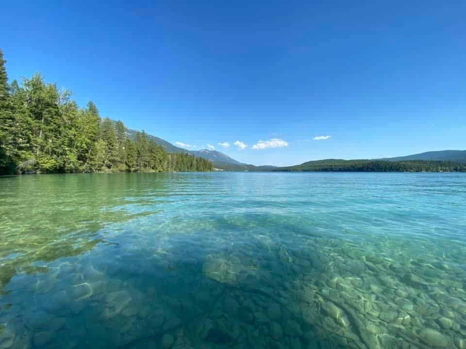 u2401702 OnlyFans profile picture