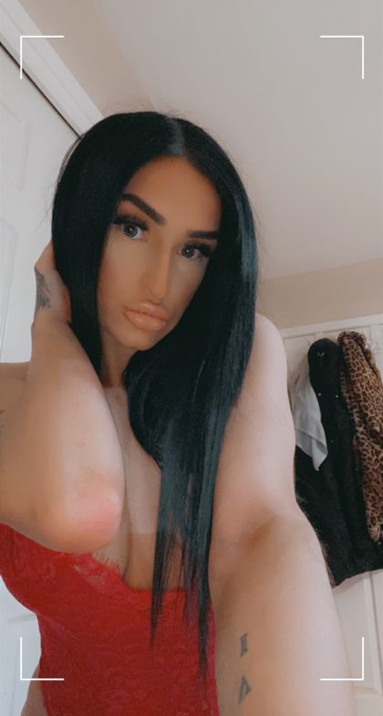 bustybrunettenextdoor OnlyFans picture