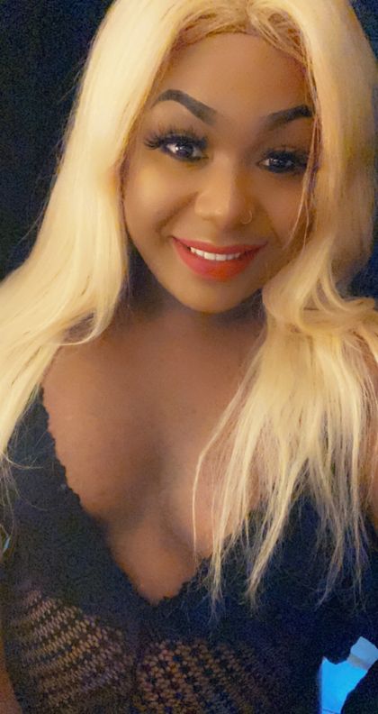 imatrans1 OnlyFans picture