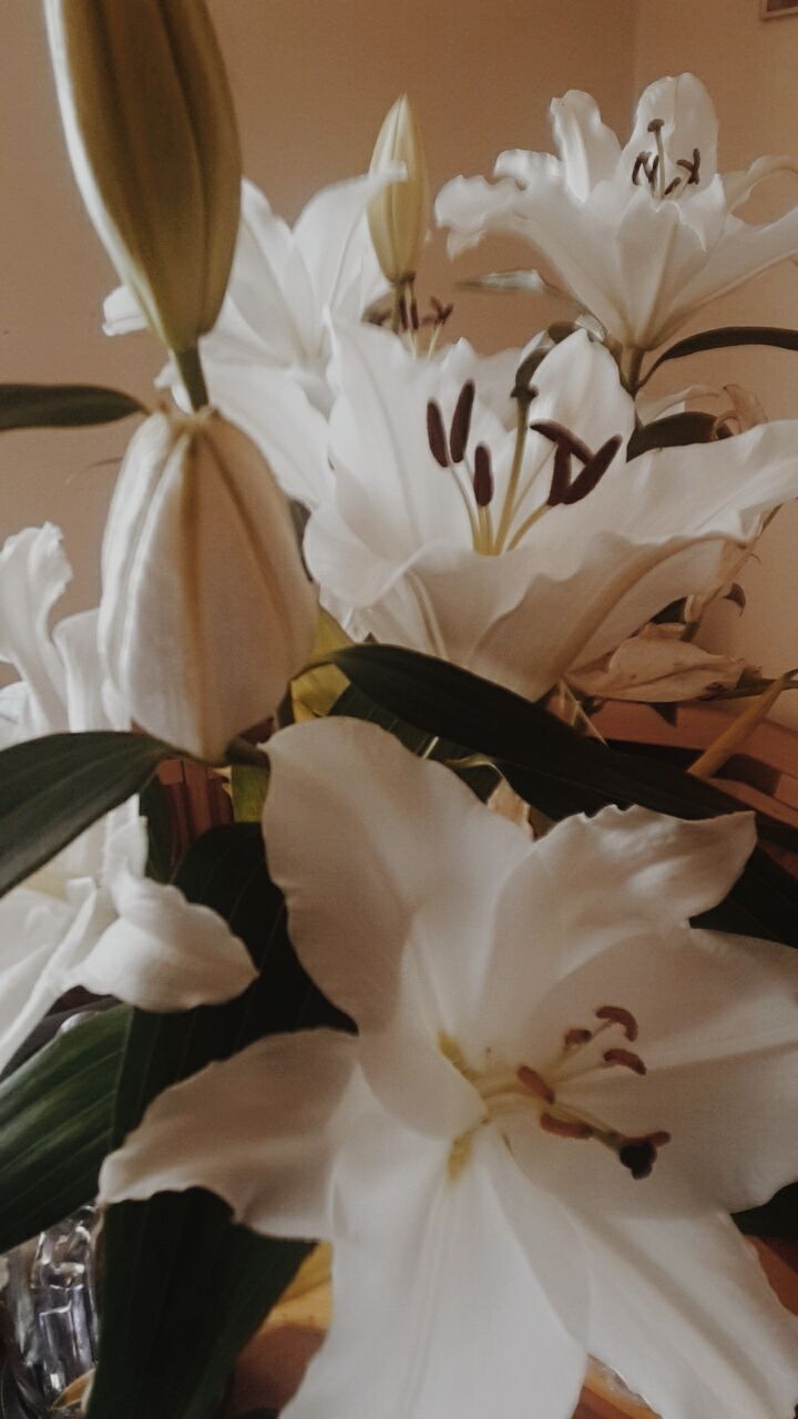 gschamig OnlyFans profile picture