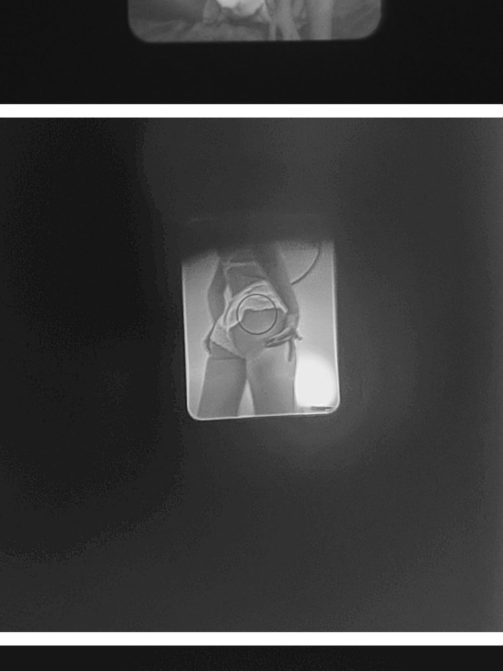 rosedallas OnlyFans profile picture