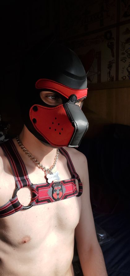 pupcrixus OnlyFans picture