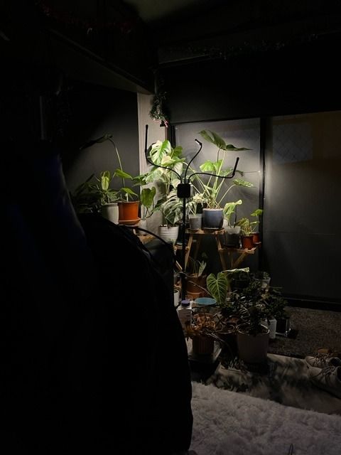 plantcareasmr OnlyFans profile picture
