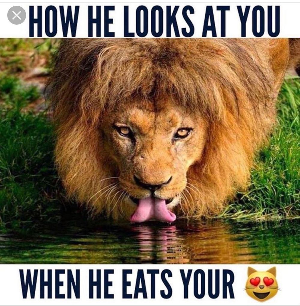 daddydreadhead OnlyFans profile picture