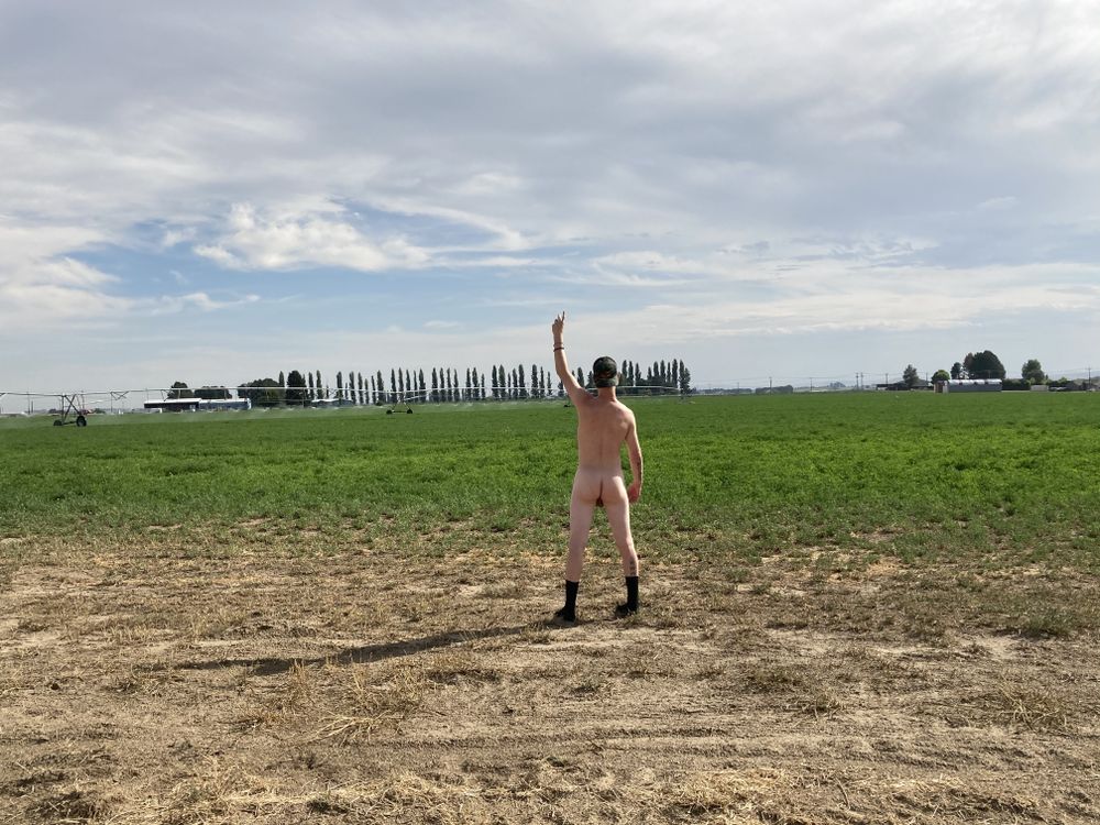 tpsupple OnlyFans profile picture