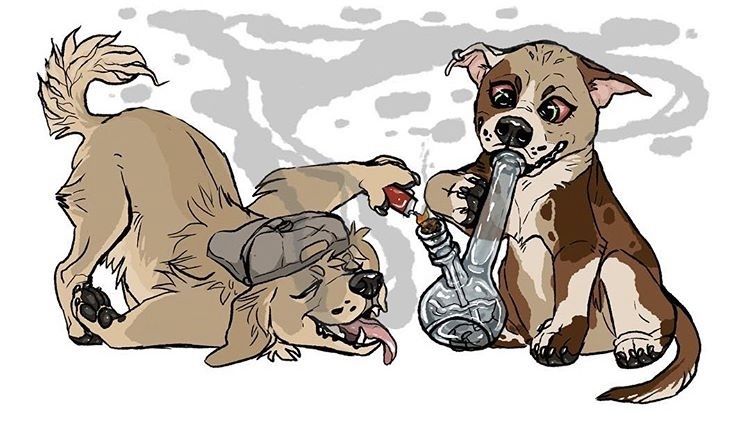wolfieray420 OnlyFans profile picture