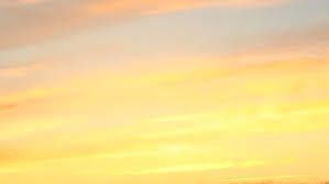 yagorl OnlyFans profile picture