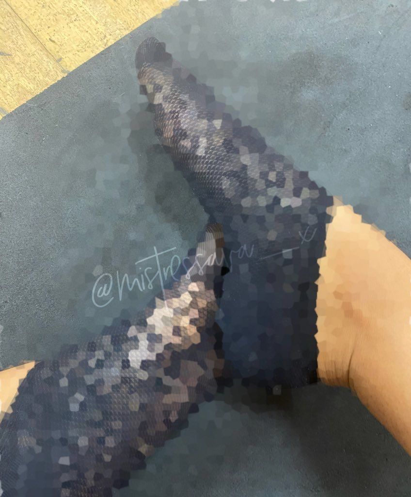 mistressava7 OnlyFans profile picture