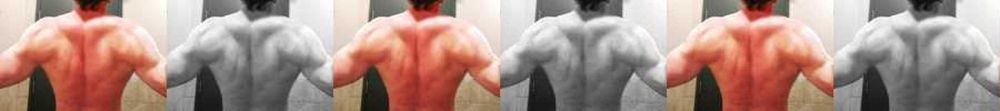 gaymuscled69 OnlyFans profile picture