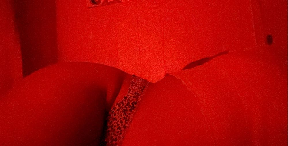 waibebe OnlyFans profile picture