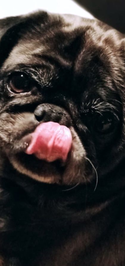 ewwwwwwwwwwwwwwwww OnlyFans picture