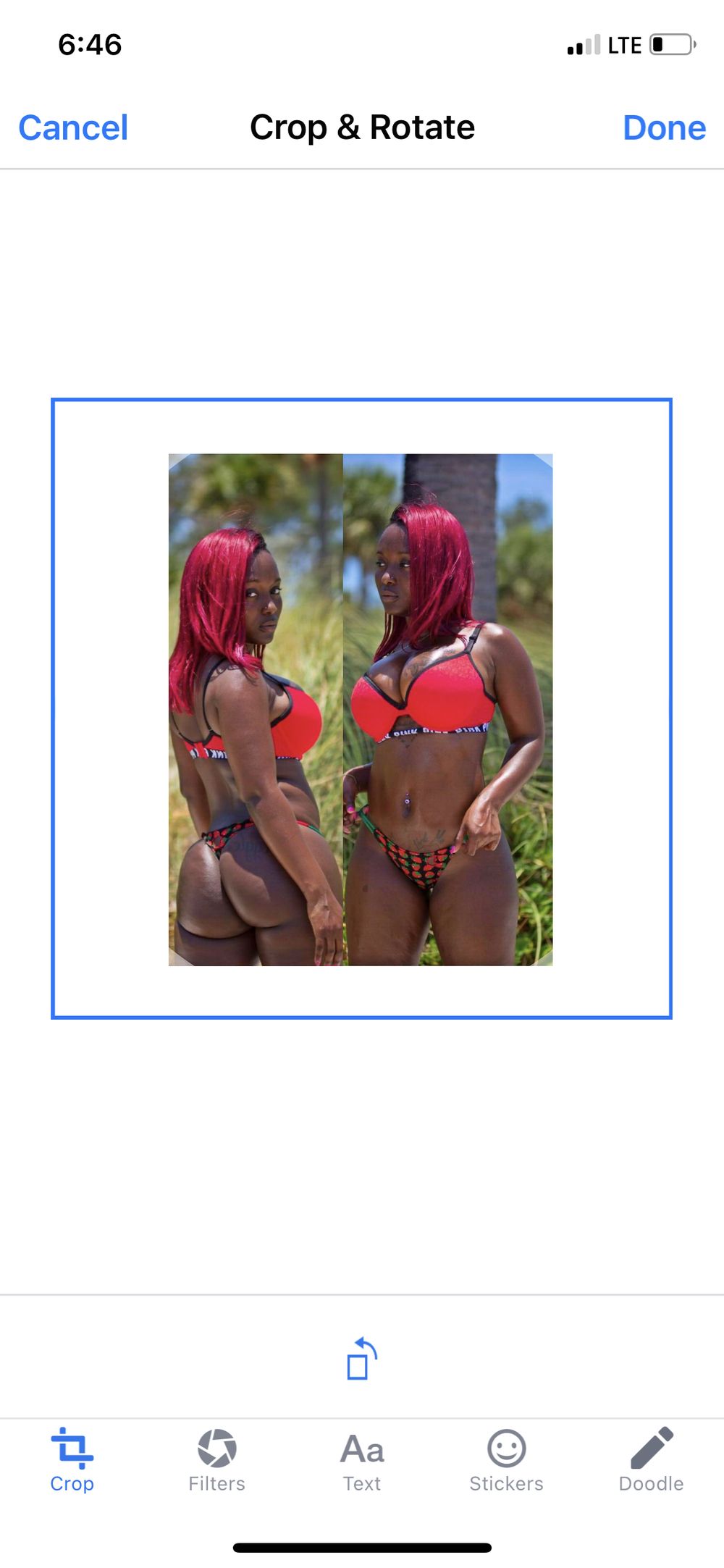 bernicebarbie OnlyFans profile picture
