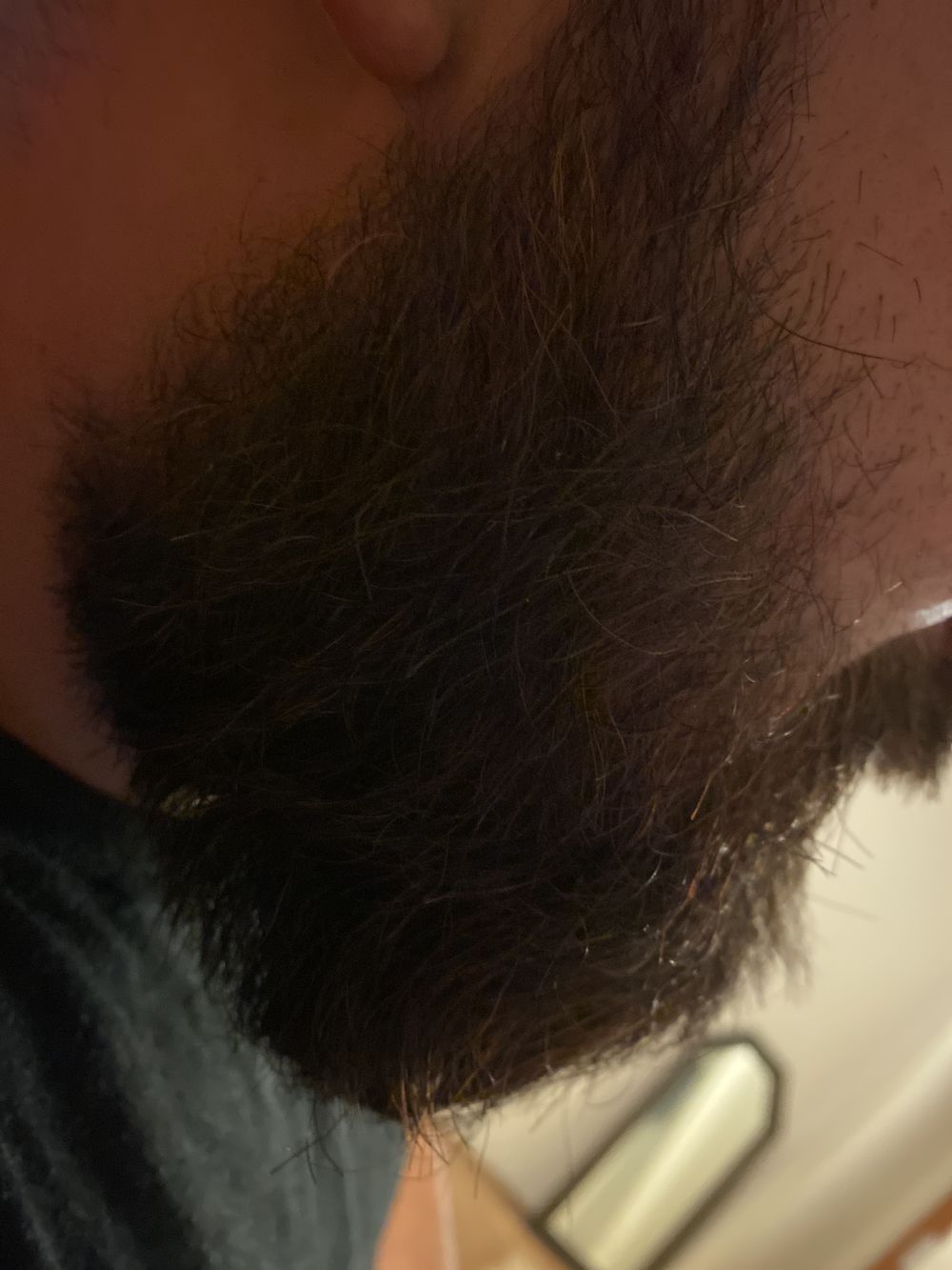 beardedgiant69 OnlyFans profile picture