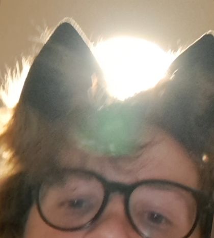eipyruwu OnlyFans picture