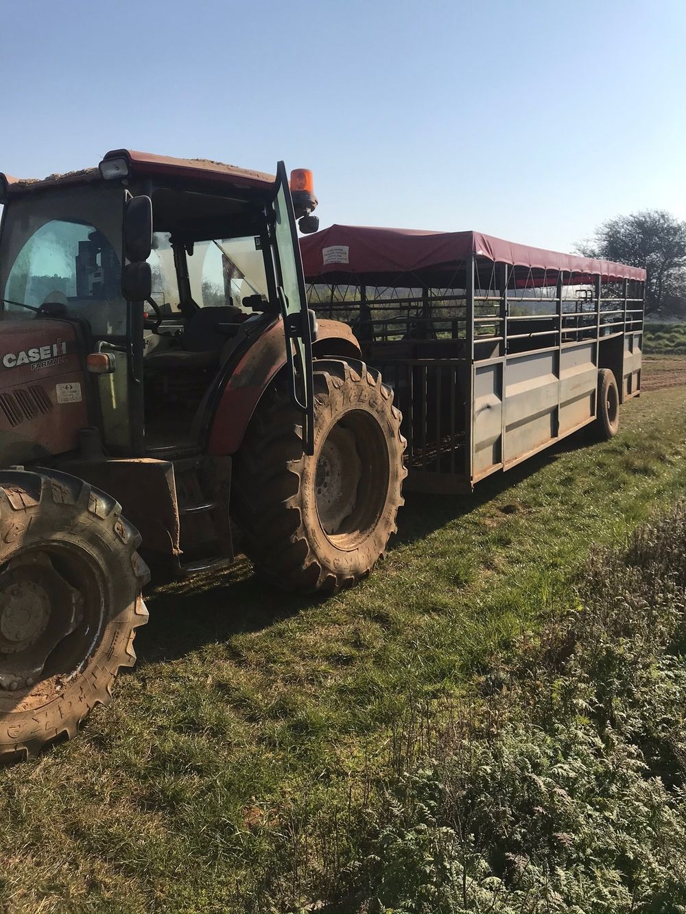 ausfarmerboy OnlyFans profile picture