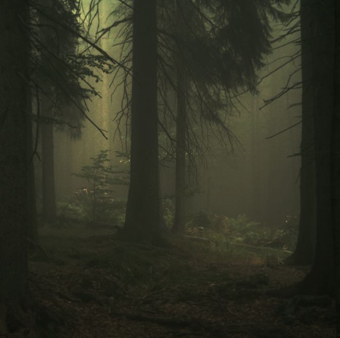 haunted_ho OnlyFans profile picture