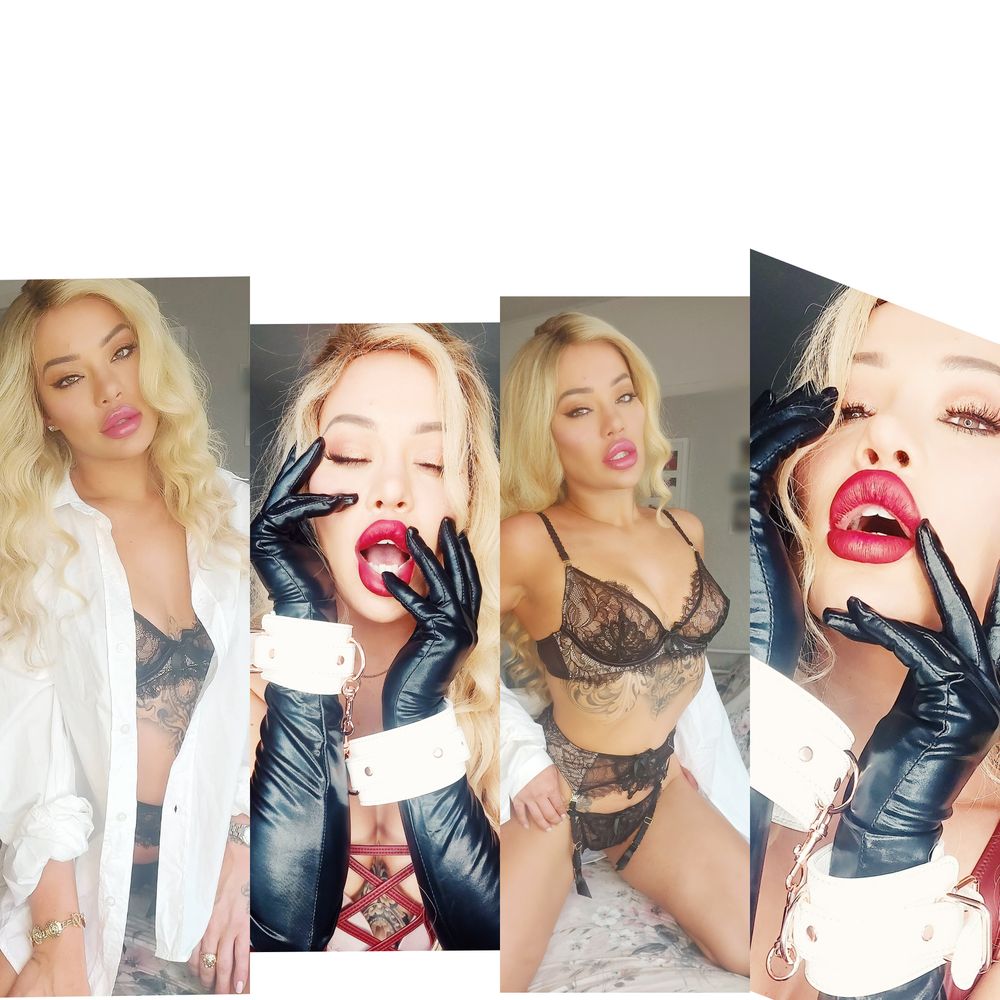 harley-jojo OnlyFans profile picture