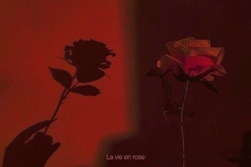 rosesls OnlyFans profile picture