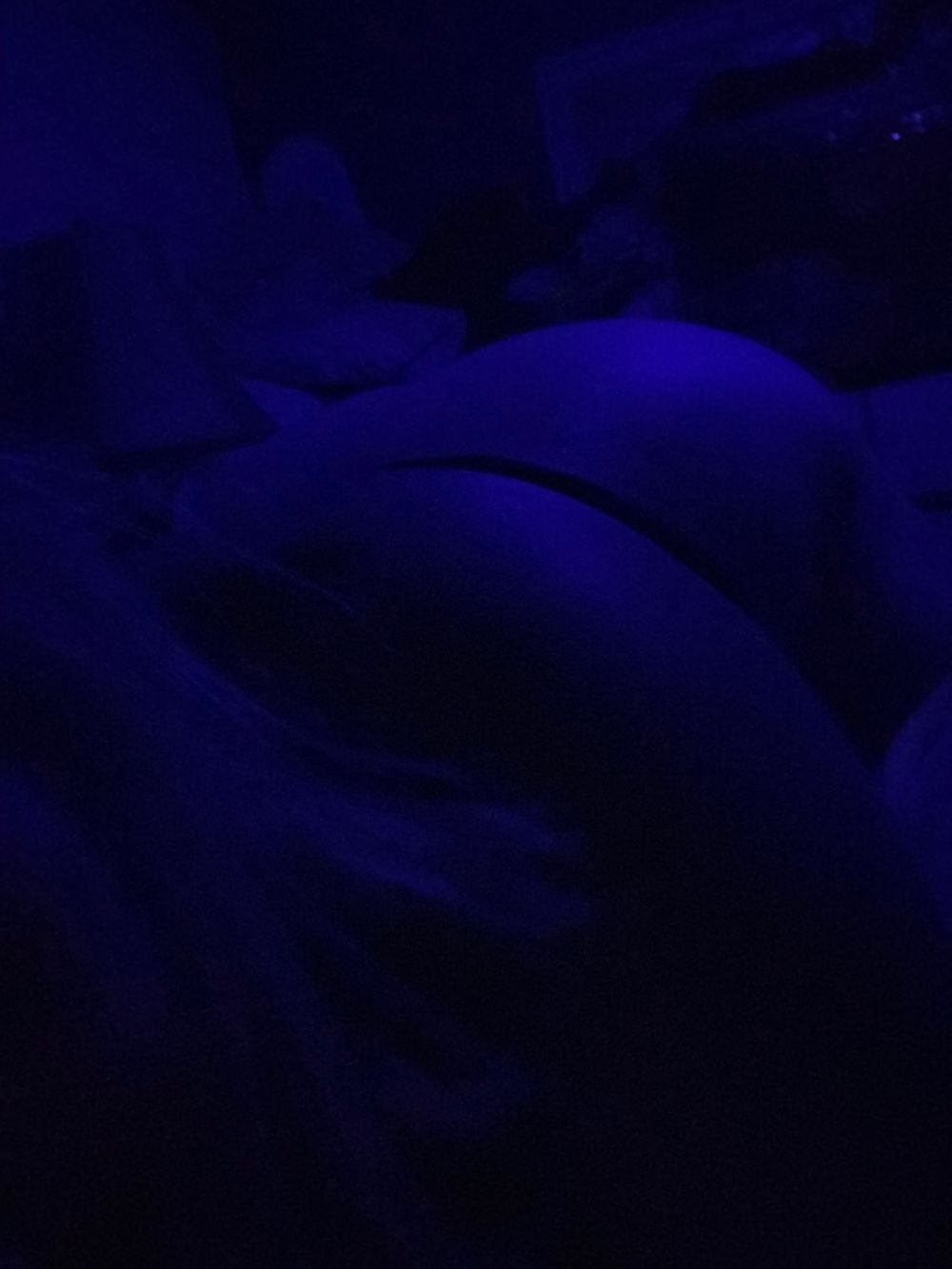 kravingkandy1203 OnlyFans profile picture