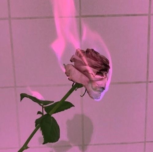 bekkiixox OnlyFans profile picture