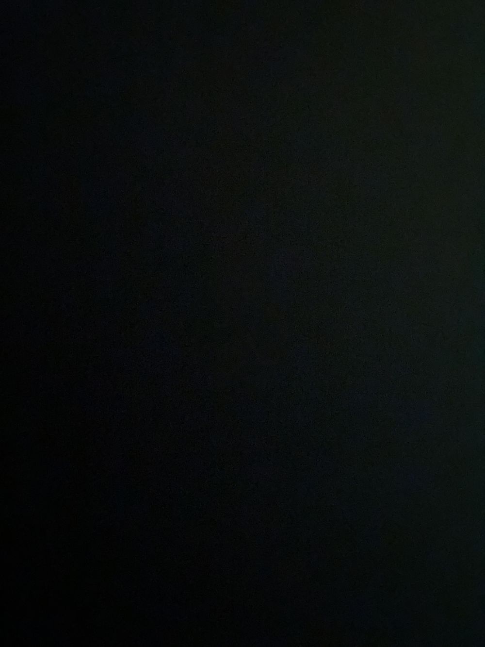 kelseybearr OnlyFans profile picture