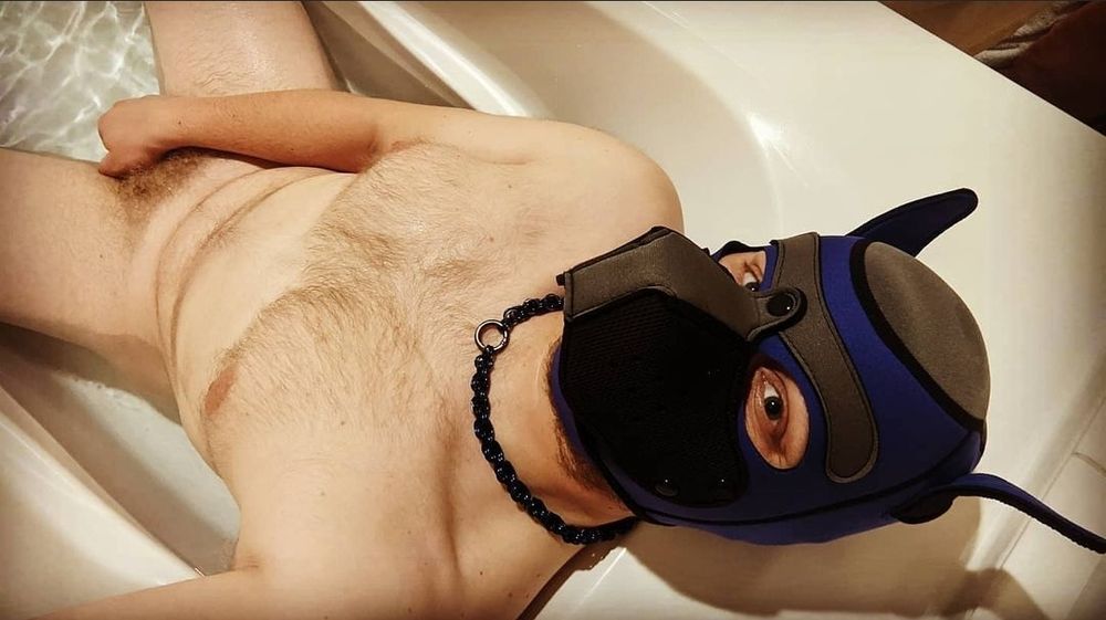 pupgoose OnlyFans profile picture