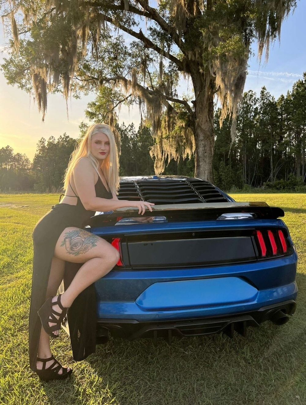 shelbytemptress OnlyFans profile picture