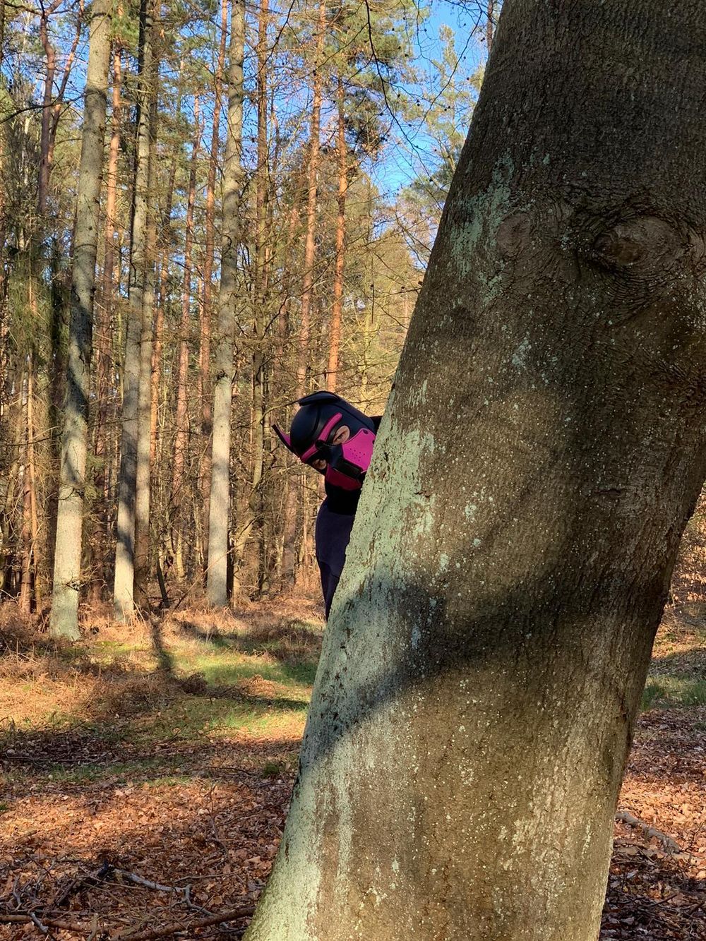 pup_ne OnlyFans profile picture