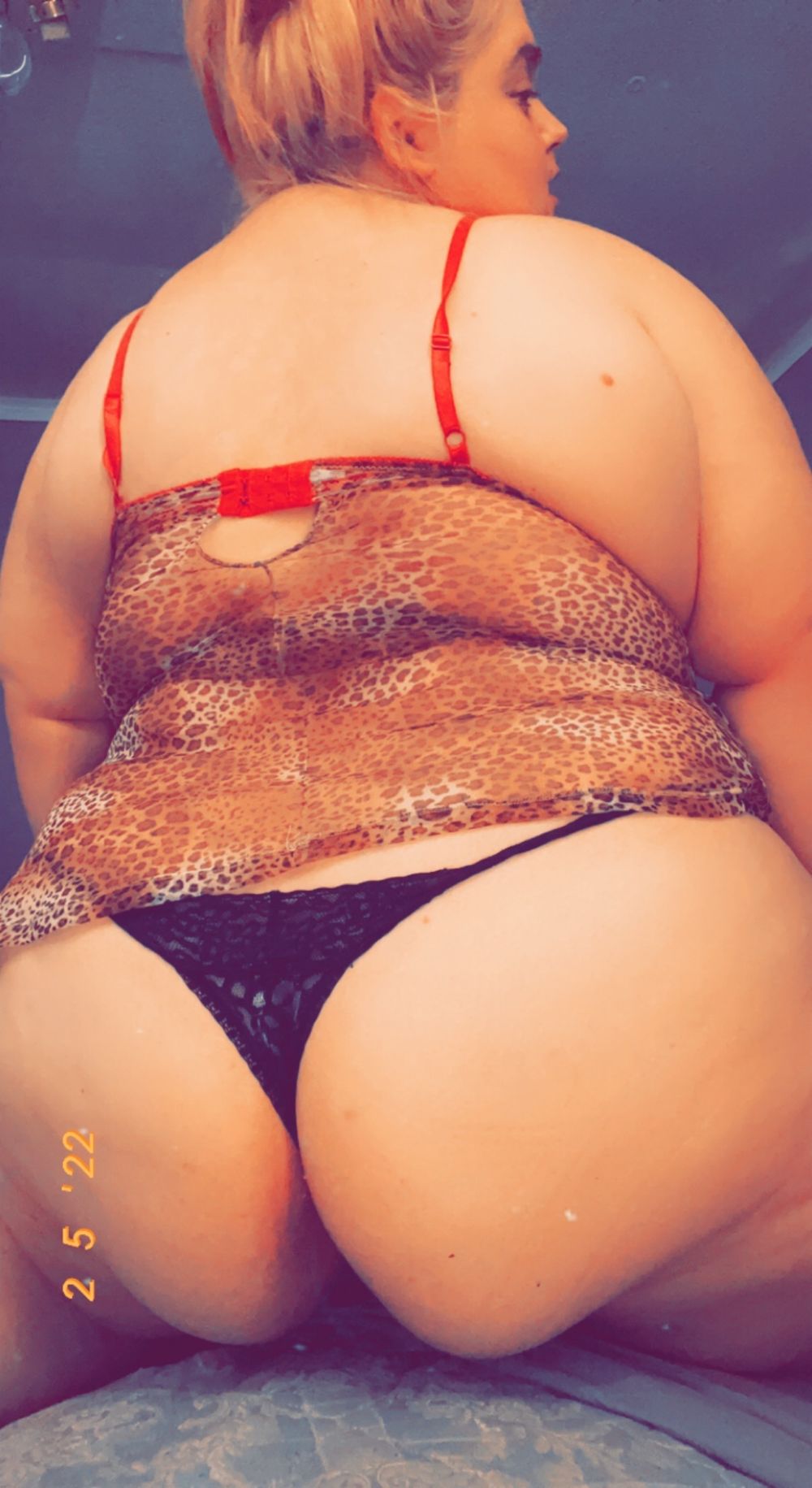 tonibell23 OnlyFans profile picture