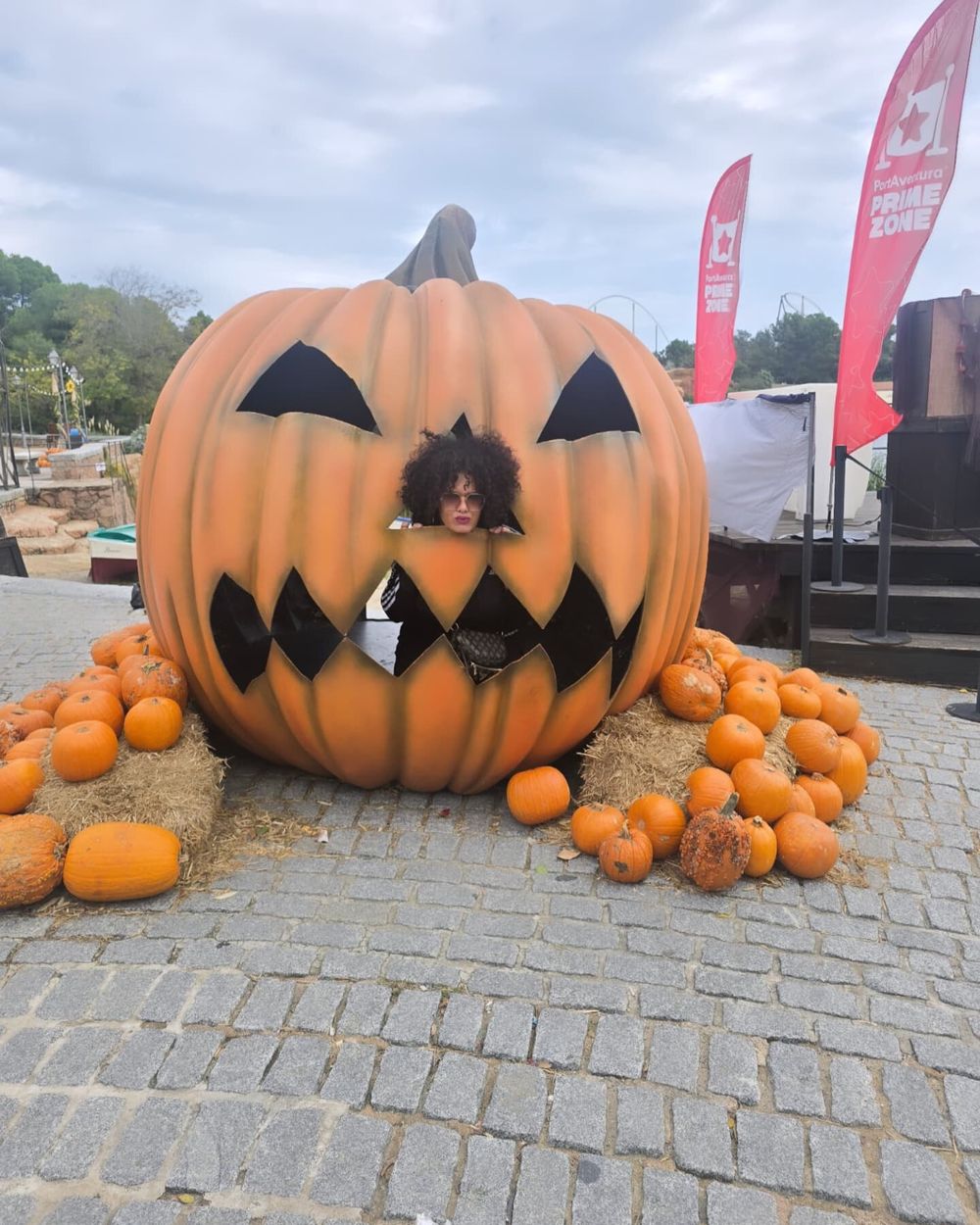 mellobrunaaa OnlyFans profile picture