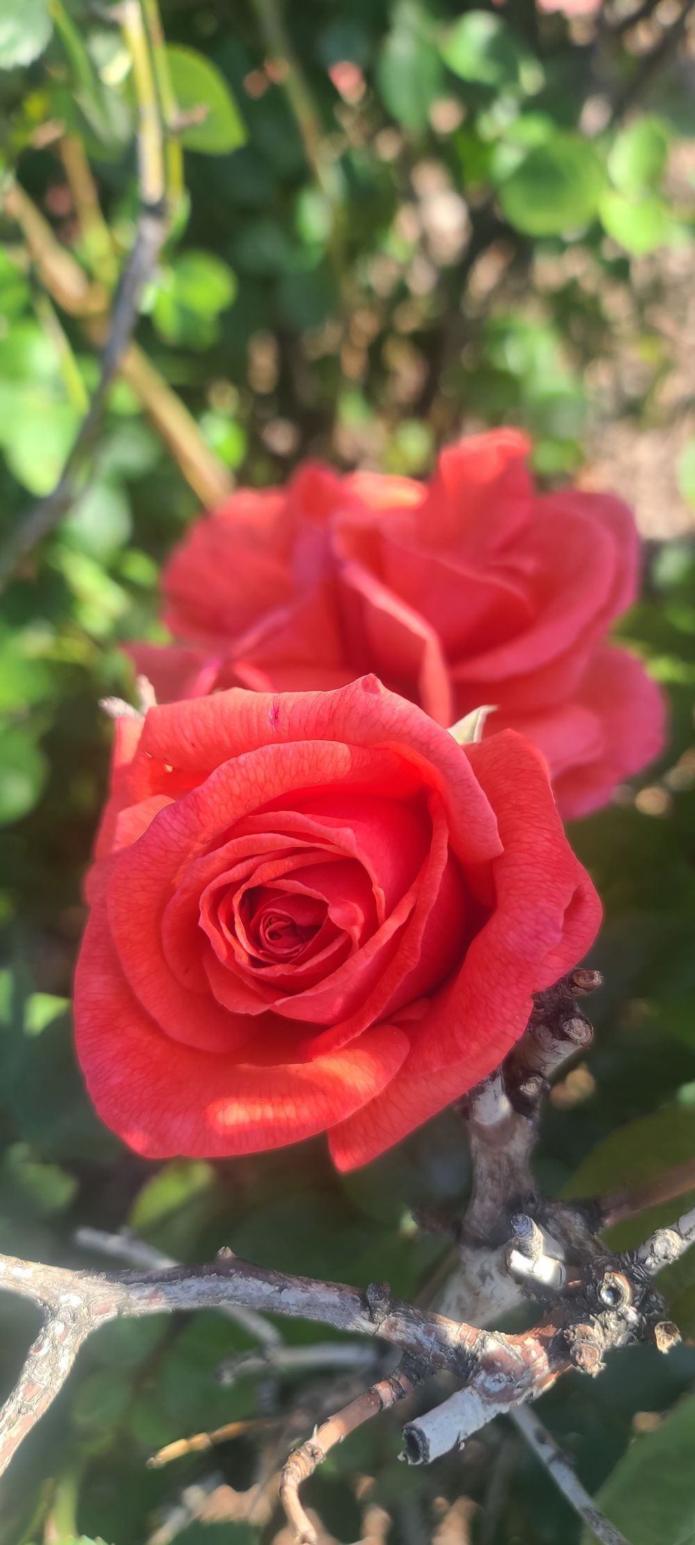 seduce.your.mind OnlyFans profile picture