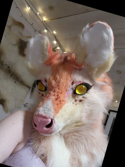 scoopsthedoe OnlyFans picture