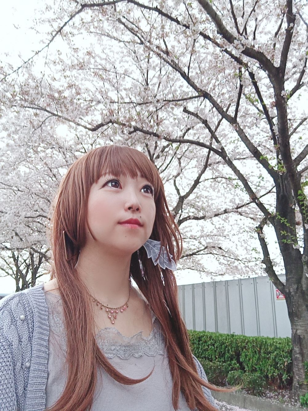 syamyu OnlyFans profile picture