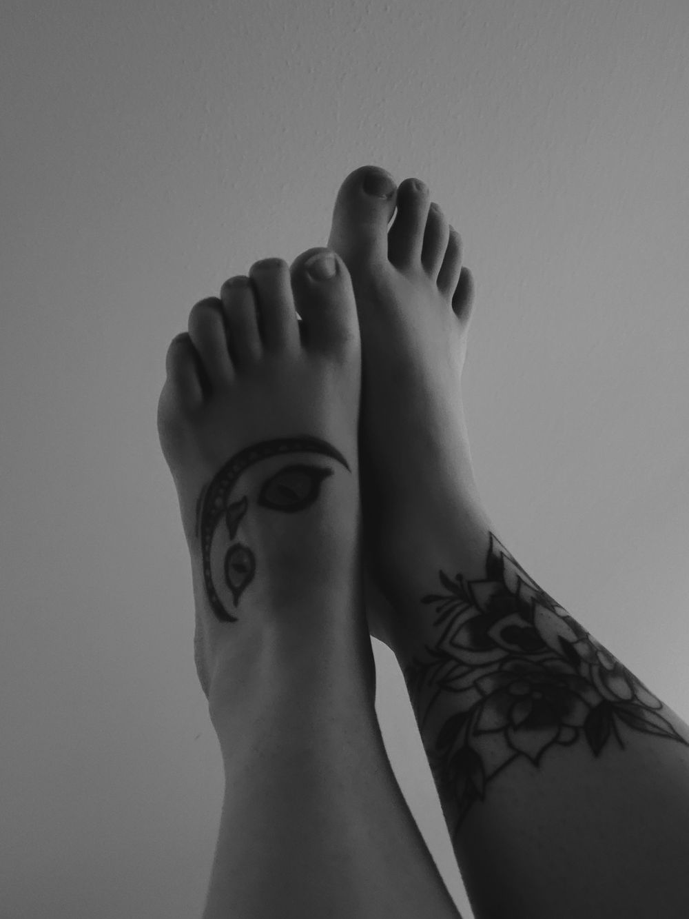 kiiittypaws OnlyFans profile picture