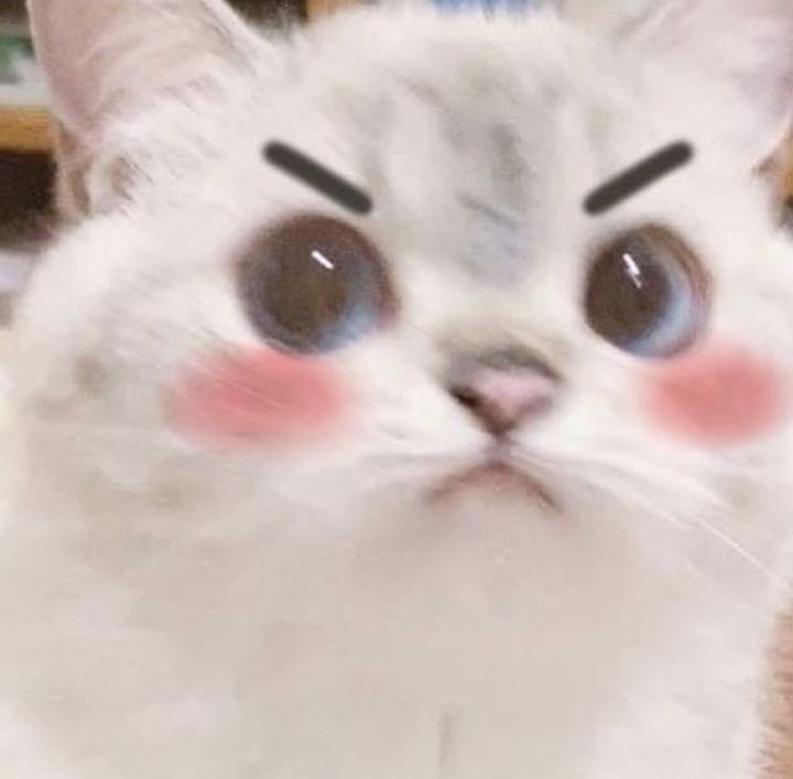 mavibabi OnlyFans profile picture
