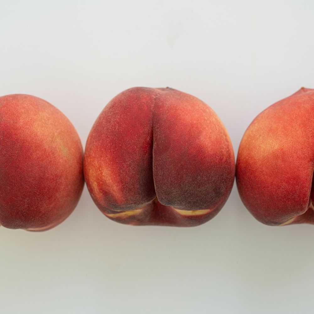 bigbutttxoxo OnlyFans profile picture