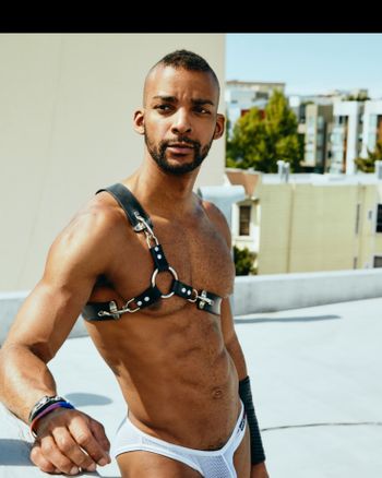 Yogi Trainer