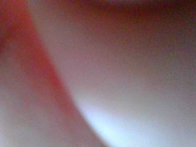 littlenaughtykitten OnlyFans profile picture