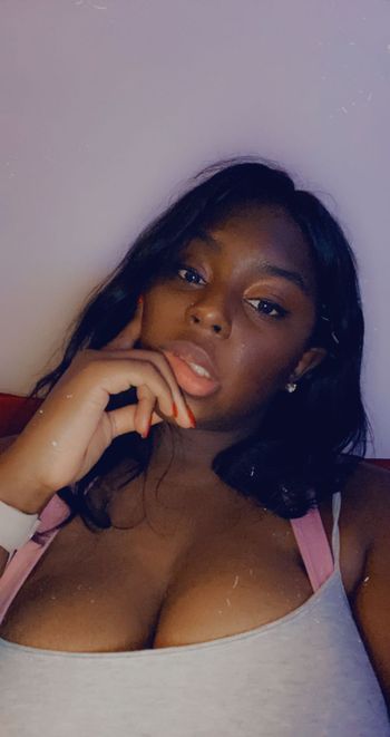 Chocolate Bunny