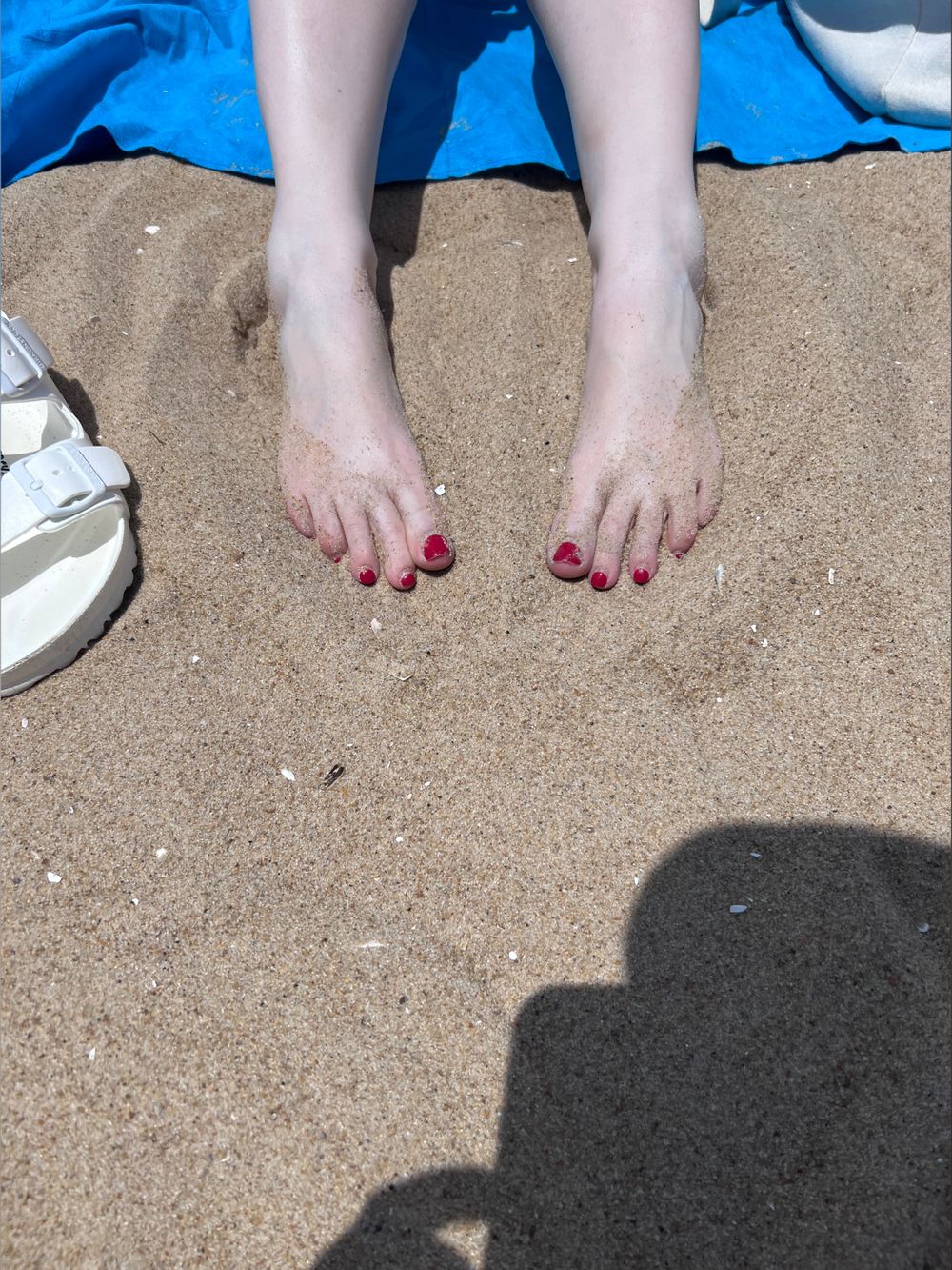 toesntreats OnlyFans profile picture