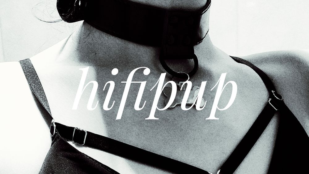 hifipup OnlyFans profile picture