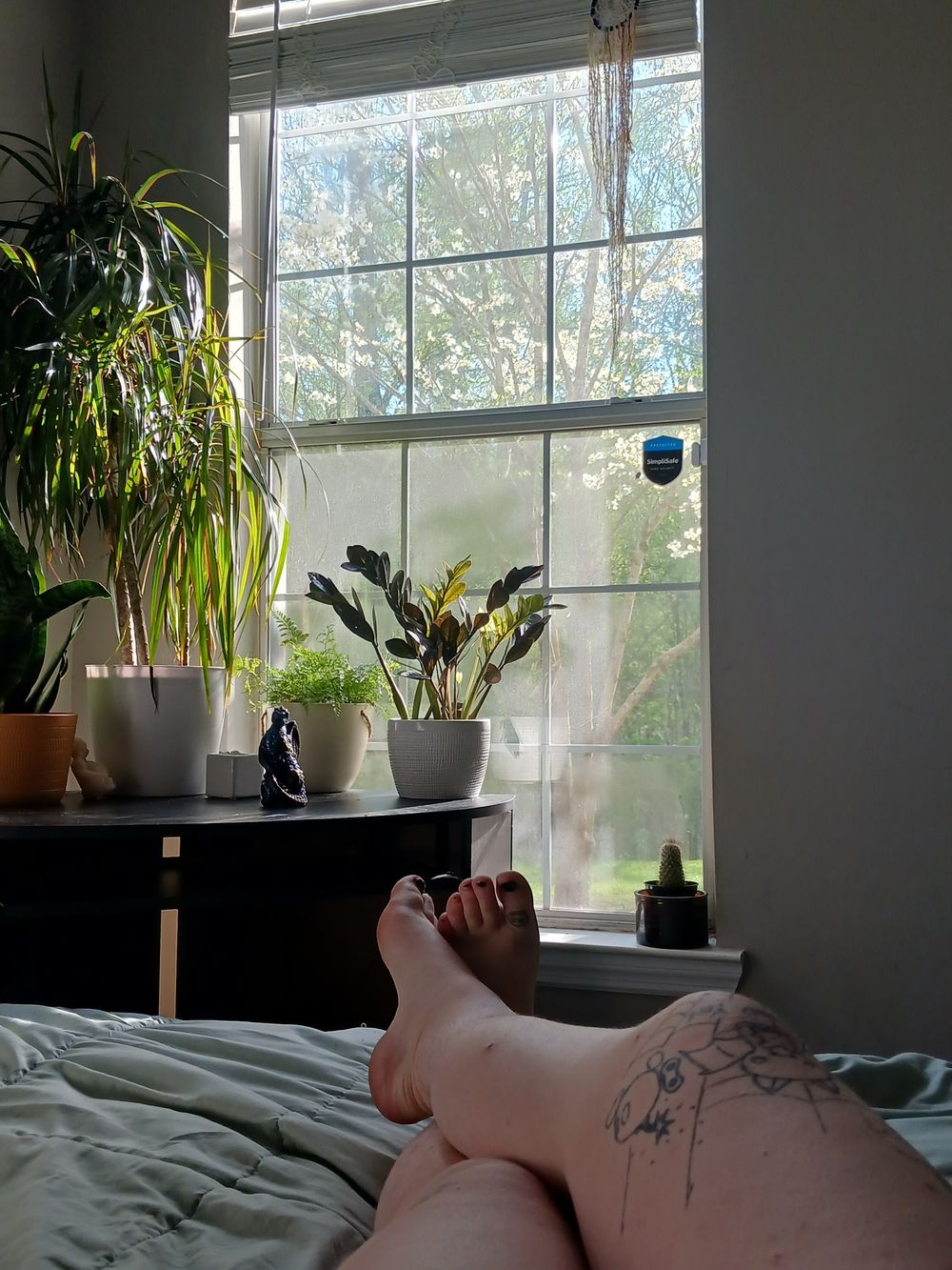 mojobabygirl OnlyFans profile picture
