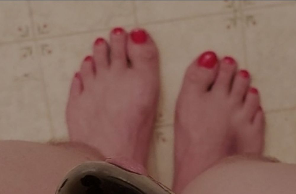 pinkchastitycage OnlyFans profile picture
